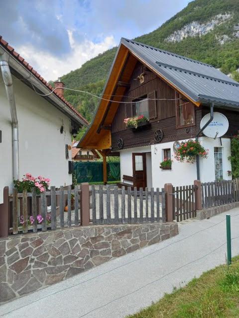 Apartmaji Bohinj Eksteriør bilde